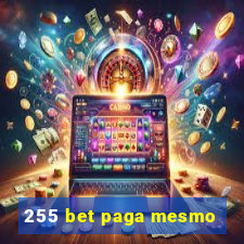 255 bet paga mesmo